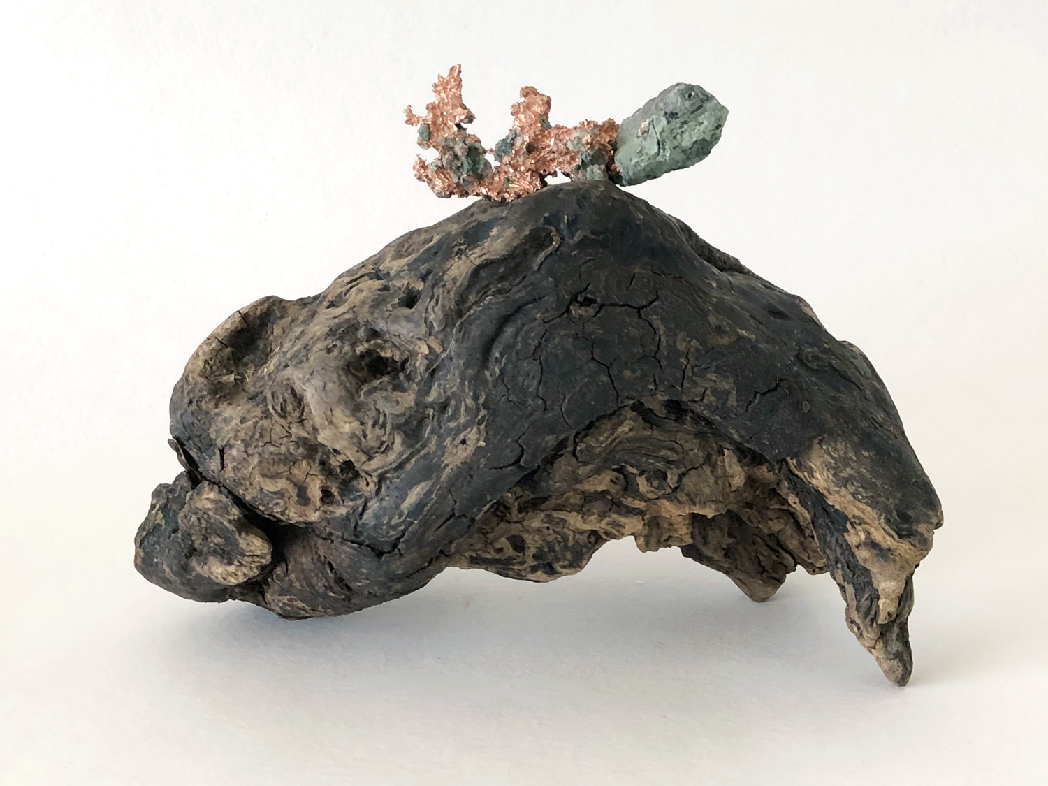 Korona cupriana – Ruth23Weber – Blog